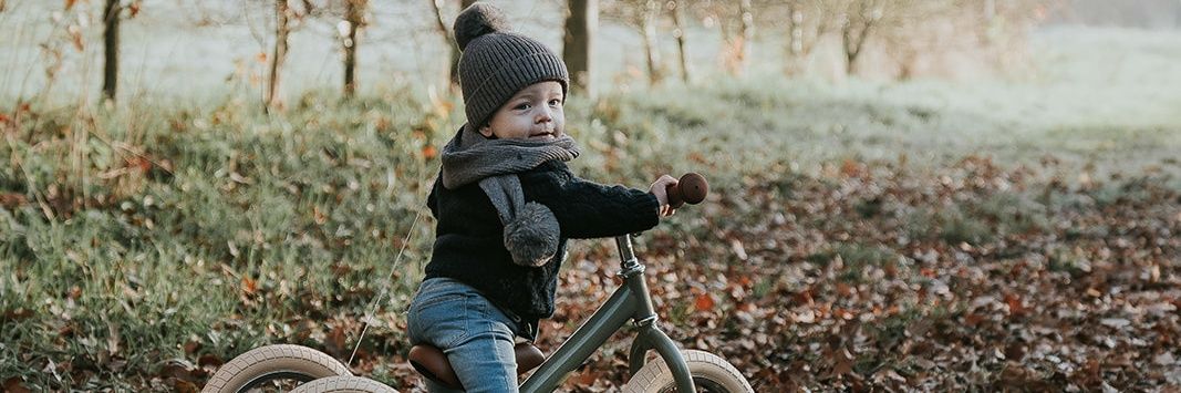 Bert Van Lerberghe banner