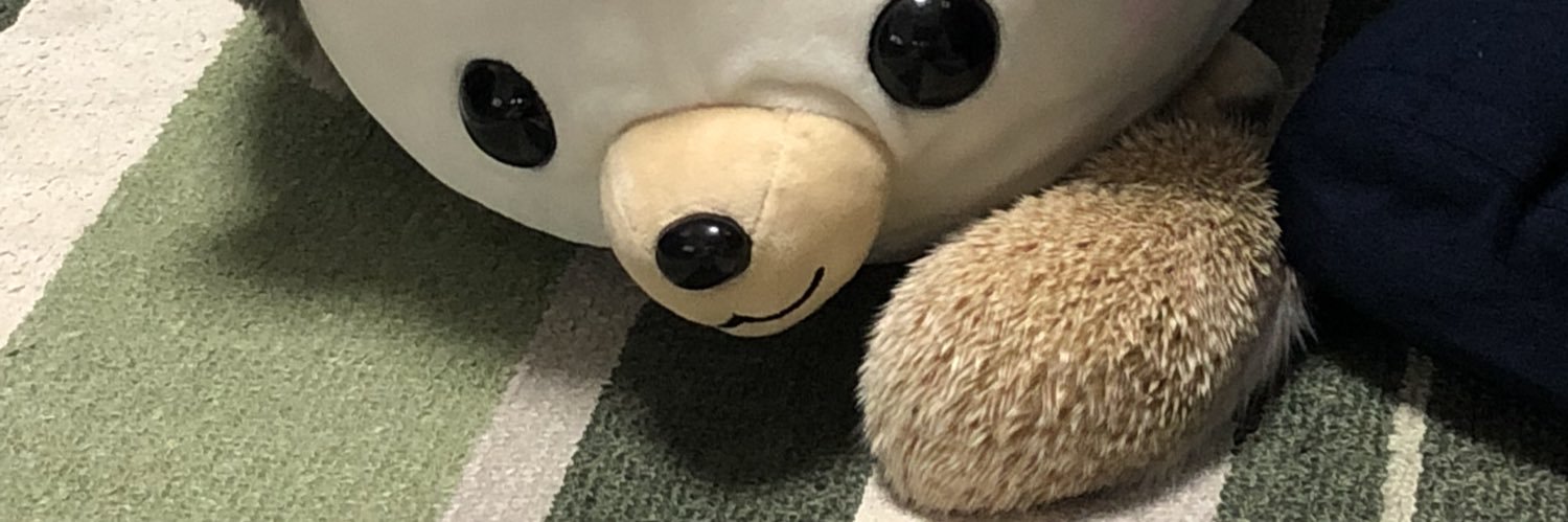 LSMO125's profile banner image