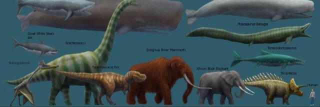 Richard Bingham banner