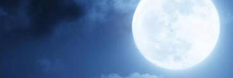 1412_clover's profile banner image