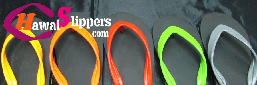 HawaiSlippers's profile banner image