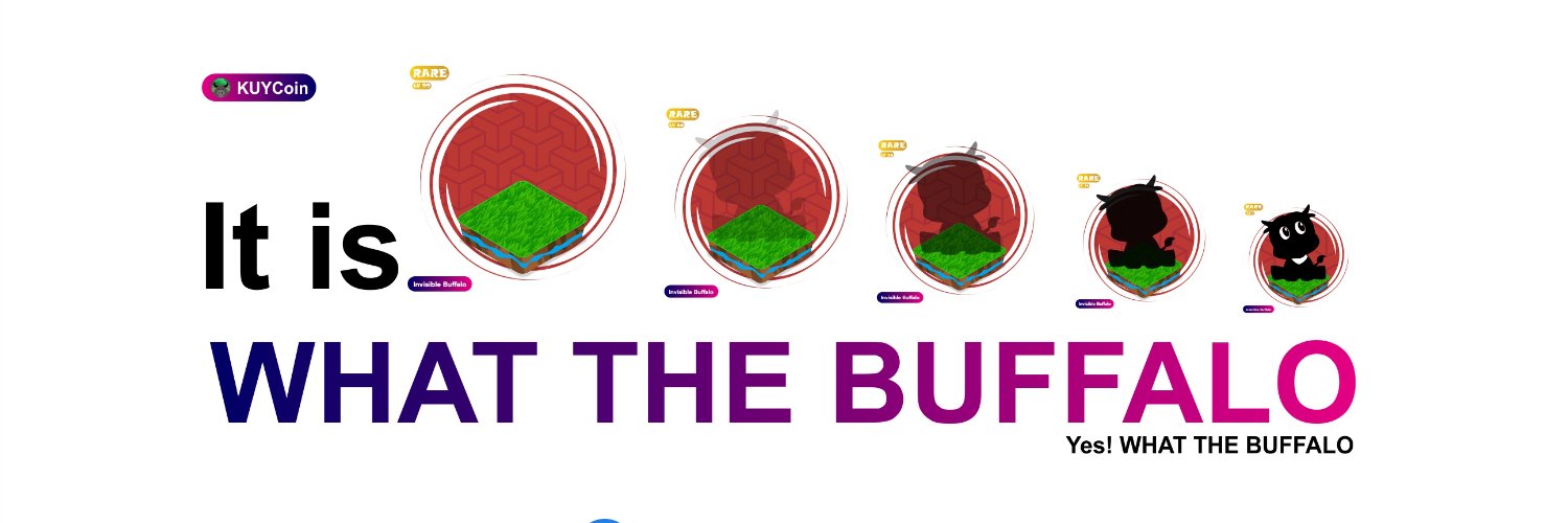 KuyCoin's profile banner image