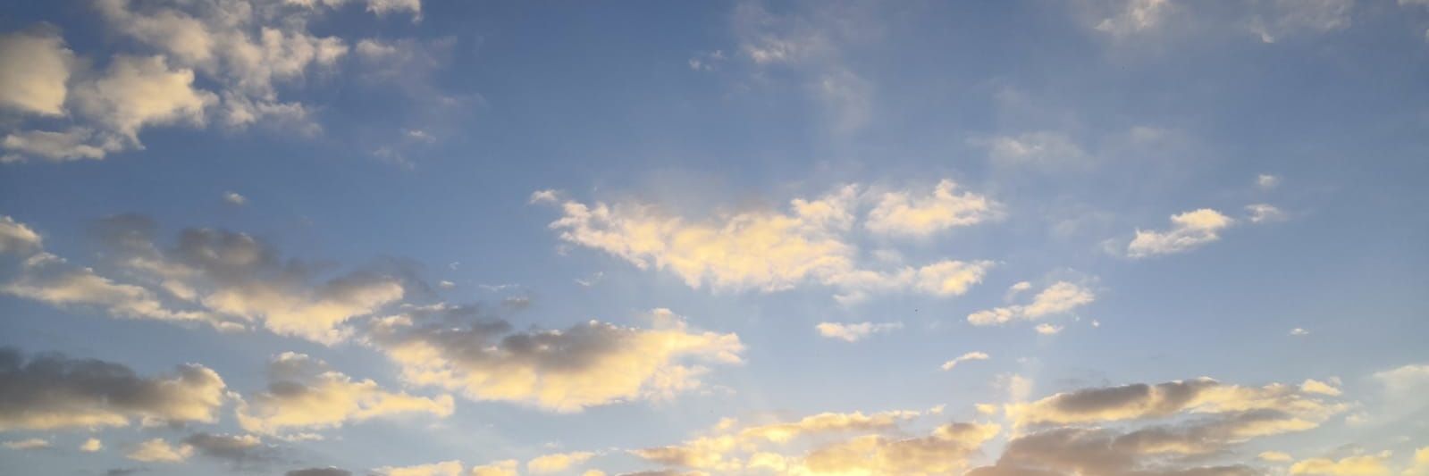 Torwski's profile banner image