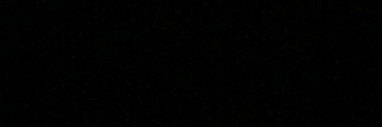 floxthafox's profile banner image