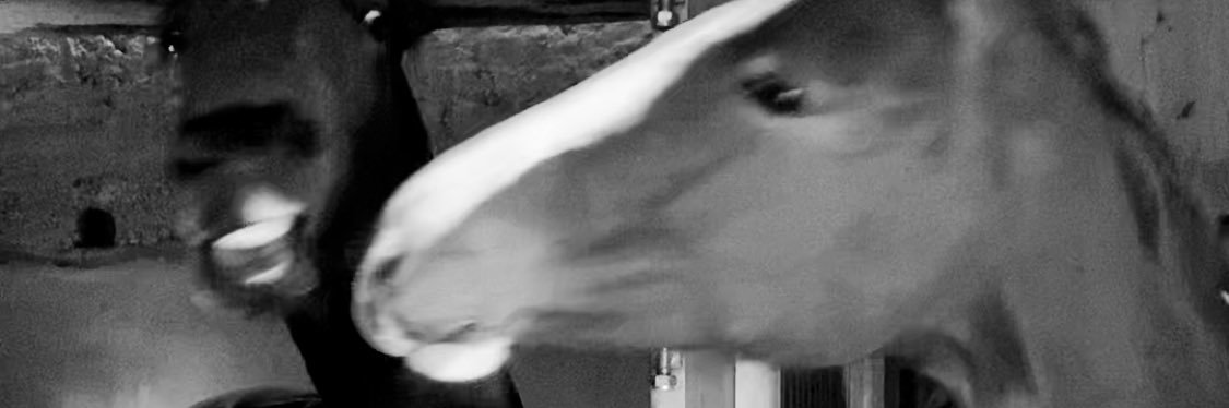 _gemini_bitch's profile banner image