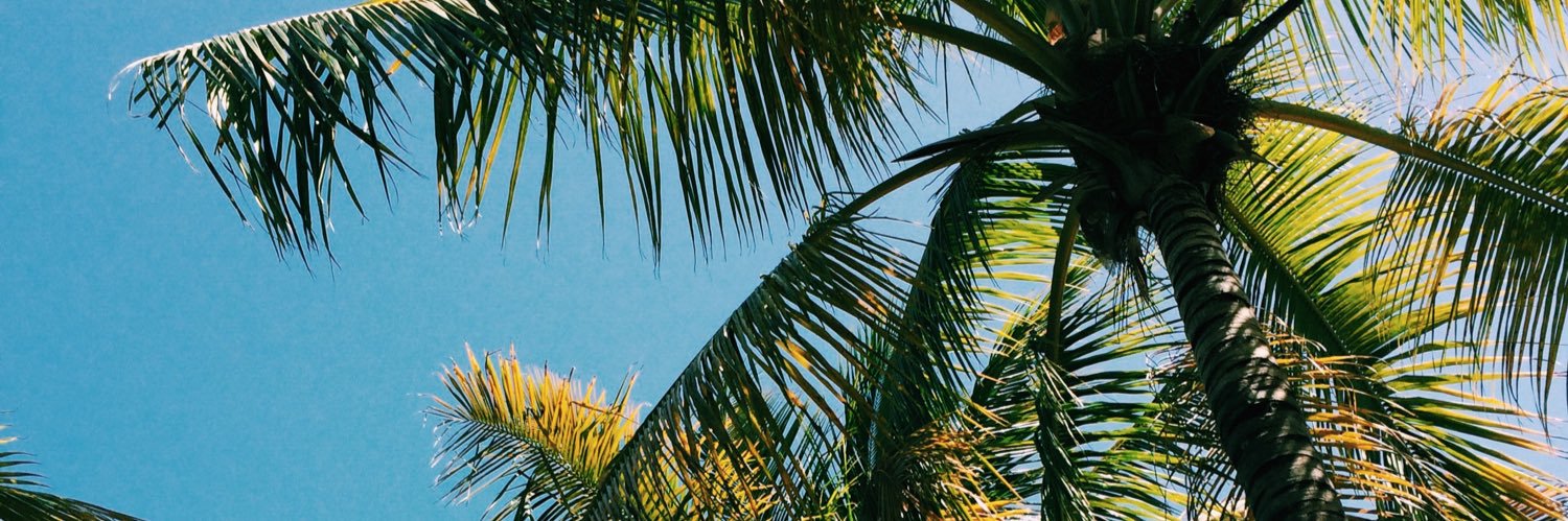 PamelaJackson5's profile banner image