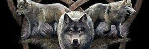 OgutEngin34's profile banner image