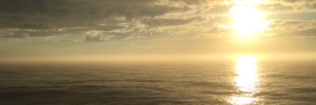 piracybrand's profile banner image