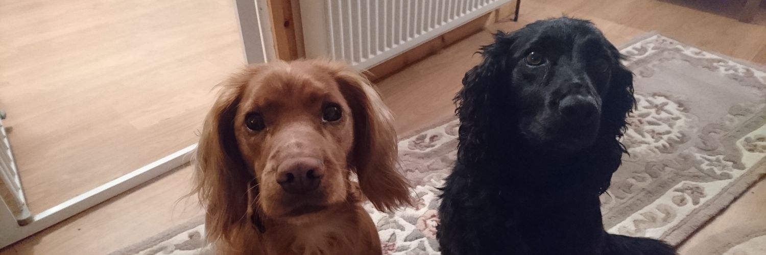 madspannas's profile banner image