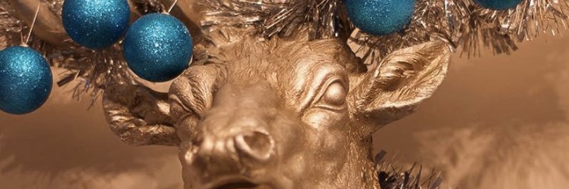 ChanineCkb69's profile banner image