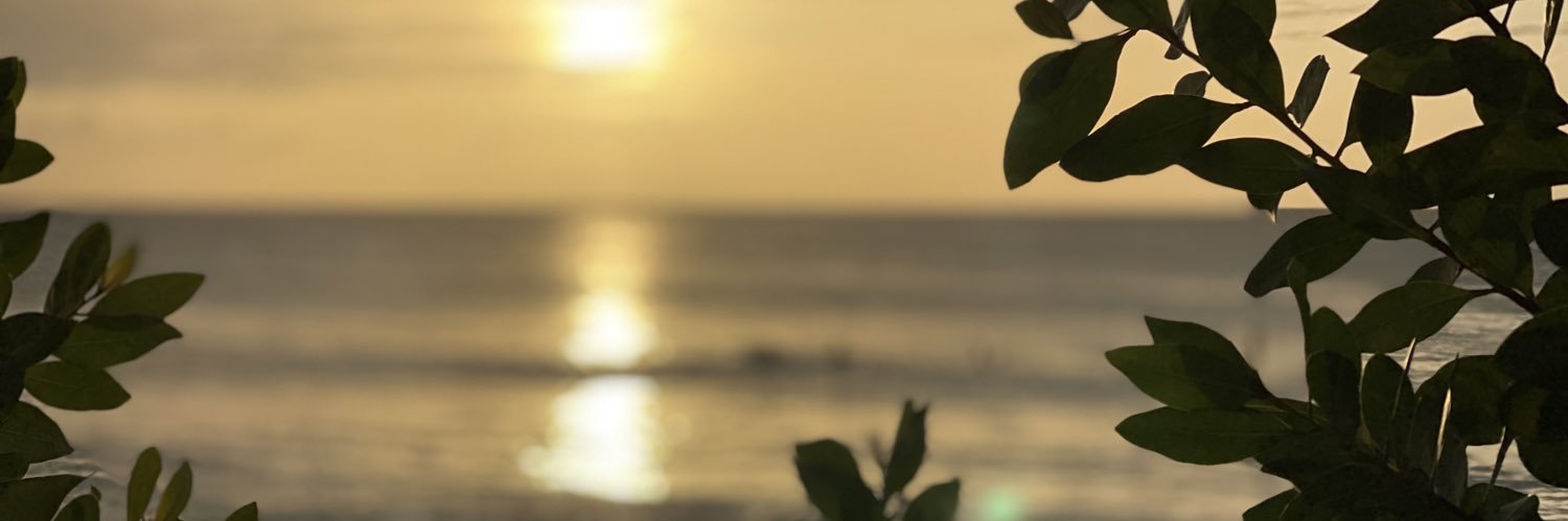 Cocolizo74's profile banner image