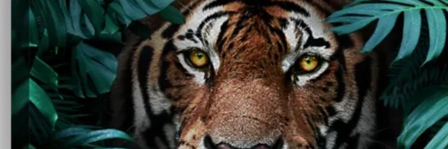 jenpan1223's profile banner image