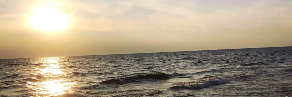DevisserLauren's profile banner image