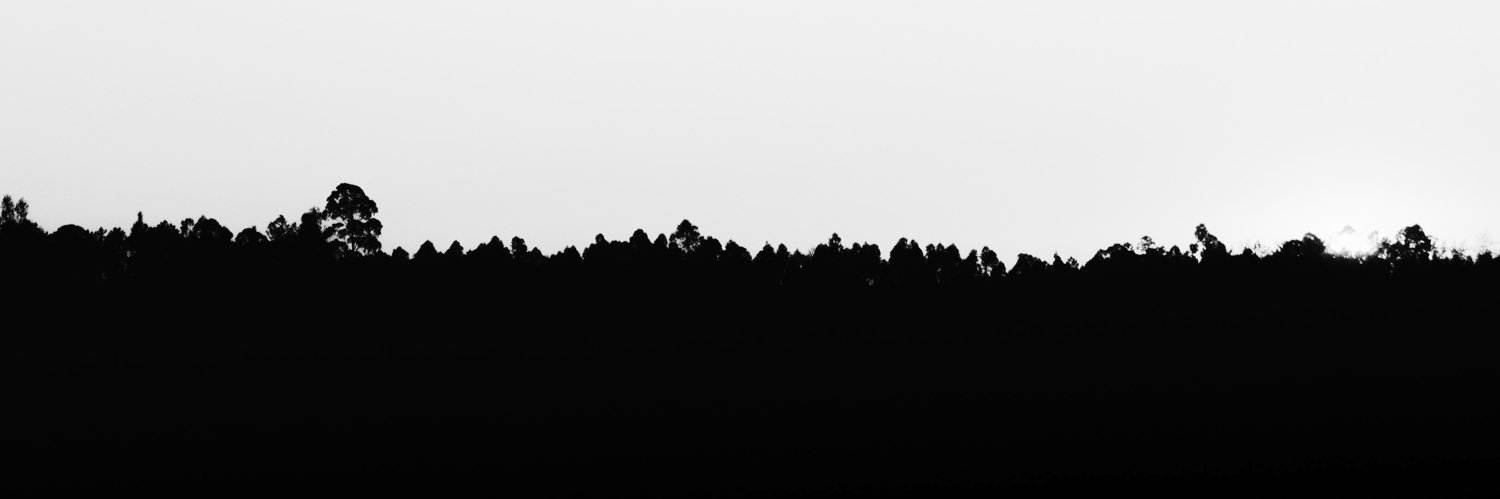 aldoquelly's profile banner image