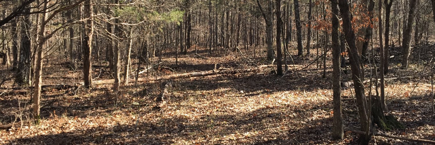 Justin Morton banner