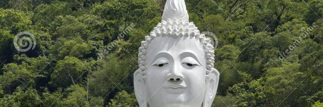 ShyamHjs's profile banner image