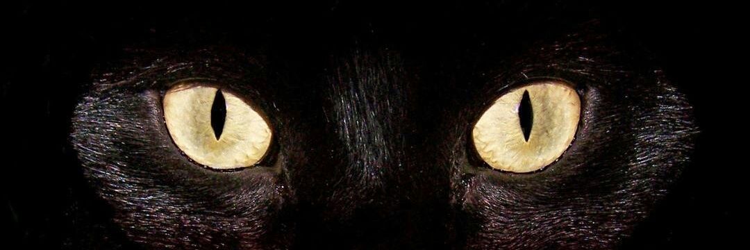 NEGRU34's profile banner image