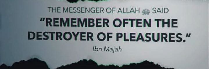 Anas Bashir banner