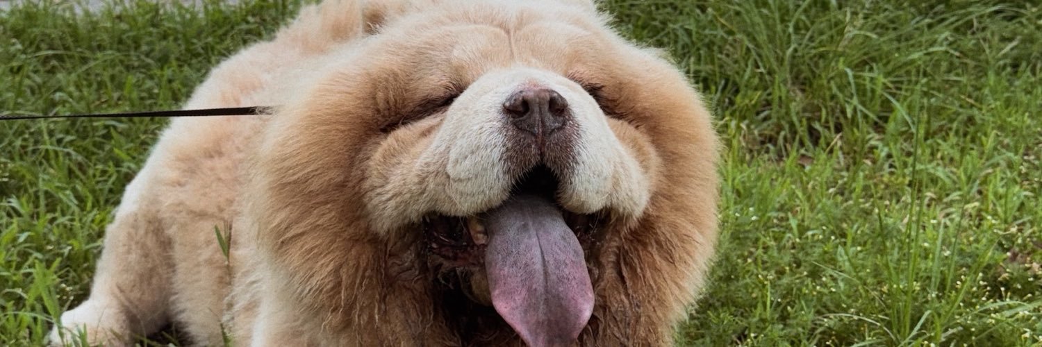 andreareneroo's profile banner image