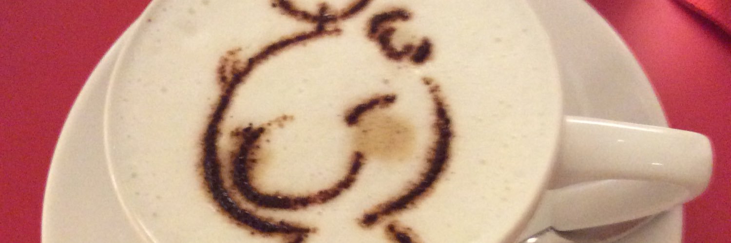 cozeroking's profile banner image