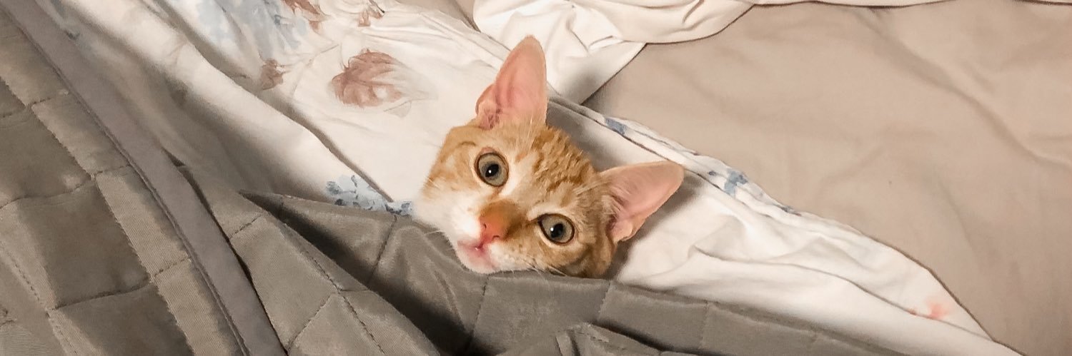 yasmimpk's profile banner image
