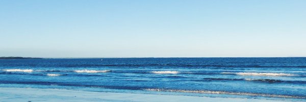zaramareee Profile Banner