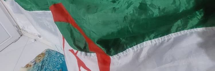 SAMIR39001's profile banner image