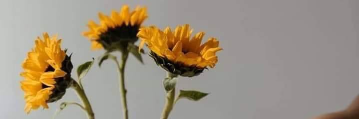 Kaay_Bay's profile banner image