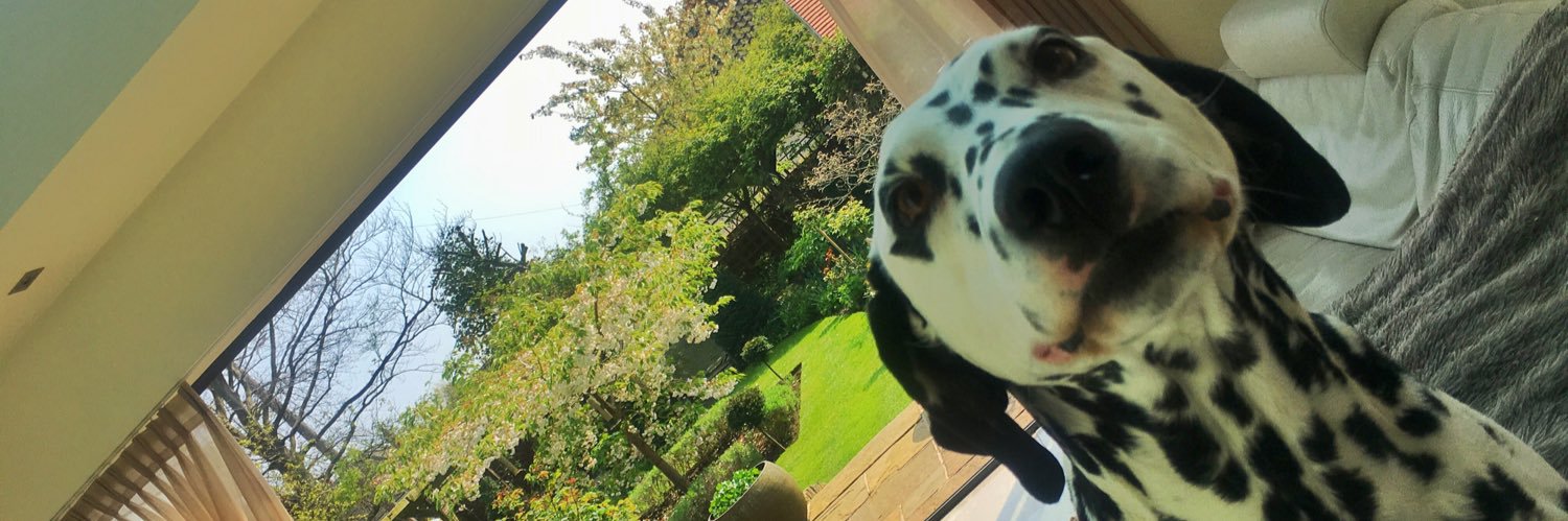 Alexandra Cheston banner