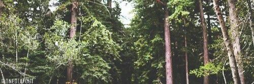 explicittharold's profile banner image