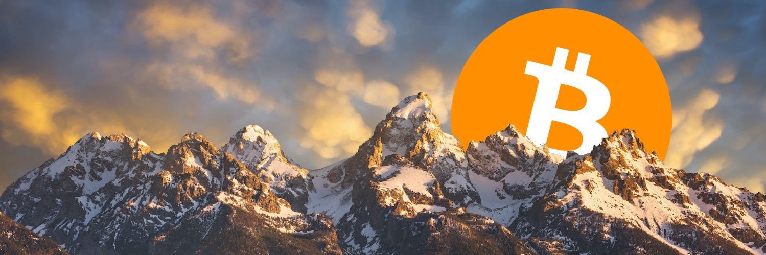 Caitlin Long.Livechat banner