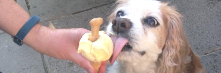 Hannah Louise banner