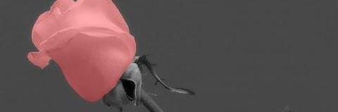 zaemmaw1's profile banner image
