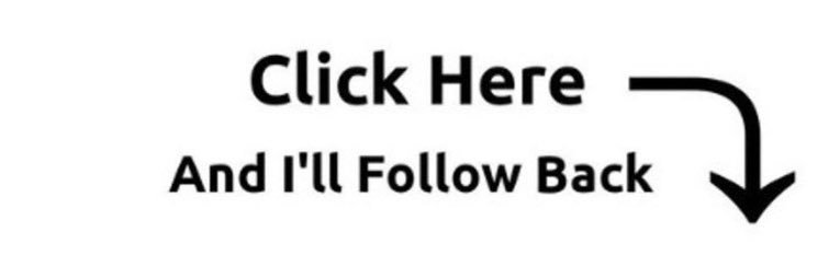 Nico Royce banner
