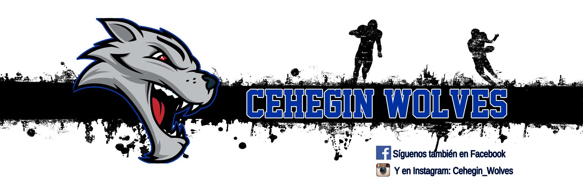CeheginWolvesFA's profile banner image