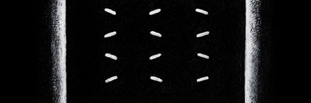 nktmryk's profile banner image