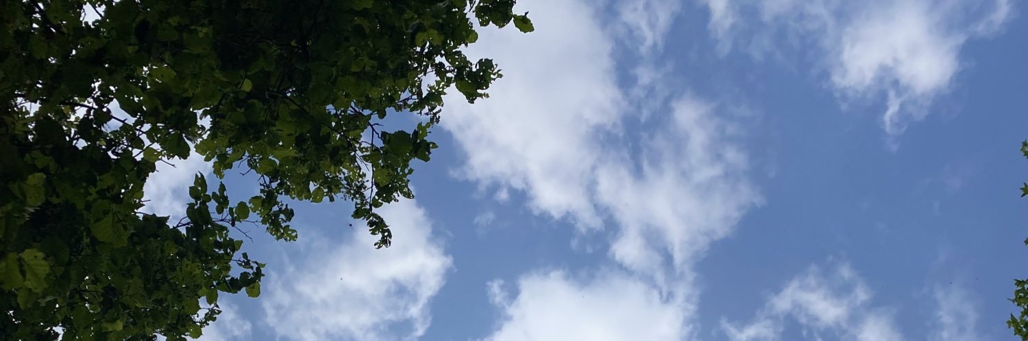 scalx__'s profile banner image