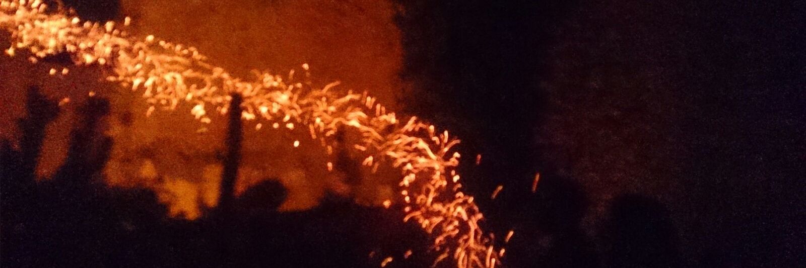 Eulàlia Carbonell banner