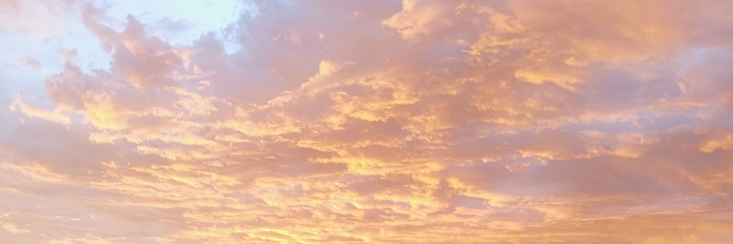 riicoou's profile banner image