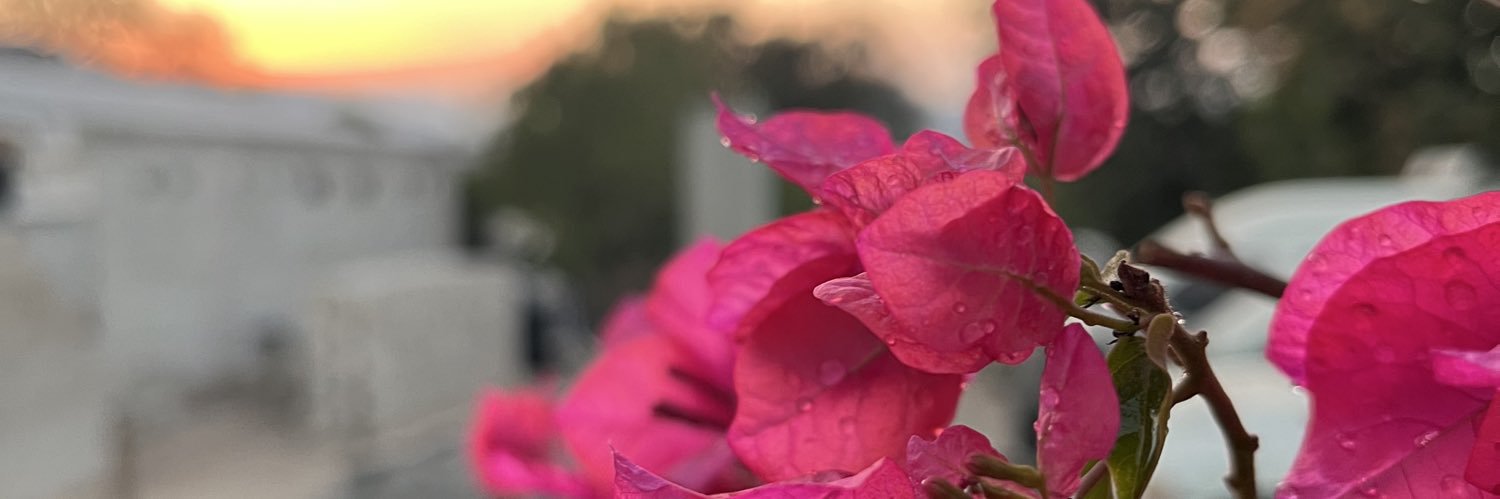 azlkmsx's profile banner image