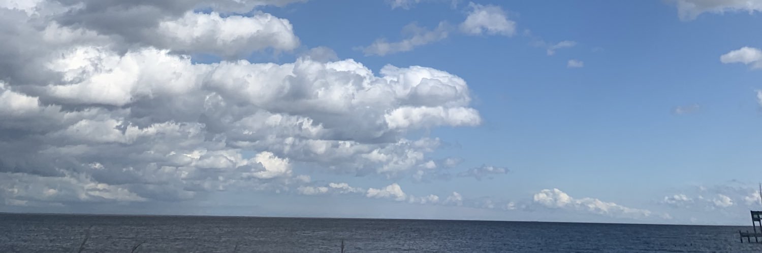 KingTrebien's profile banner image