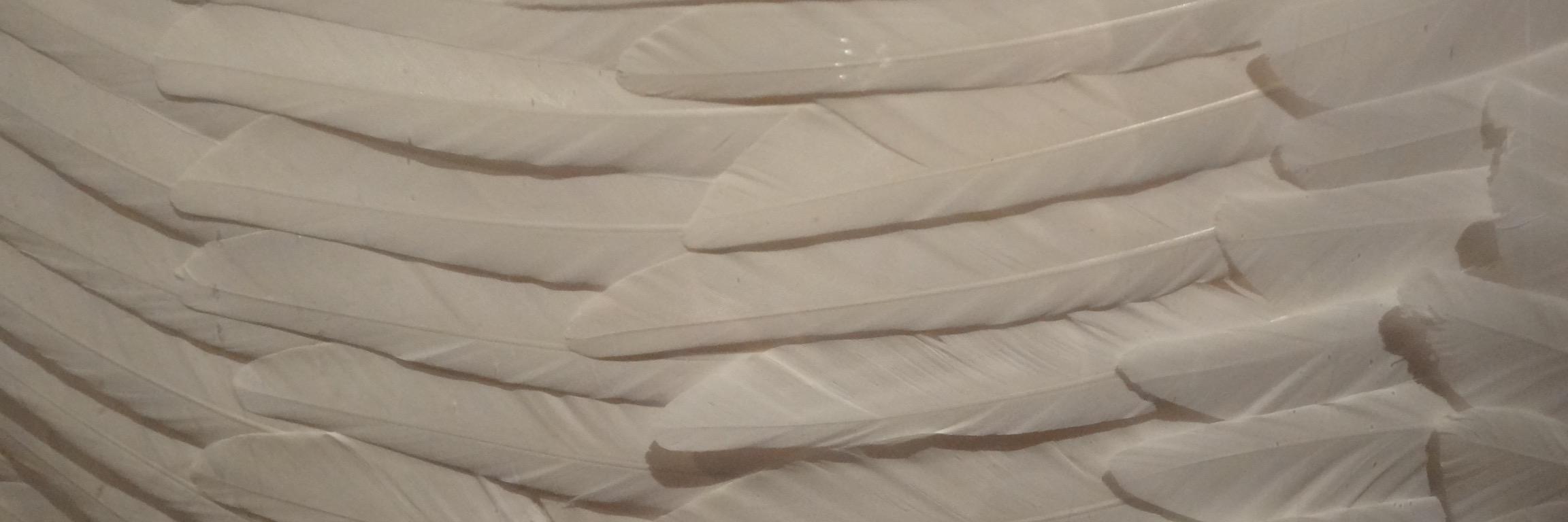 AnnickTorremans's profile banner image