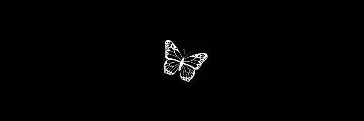 docinho banner
