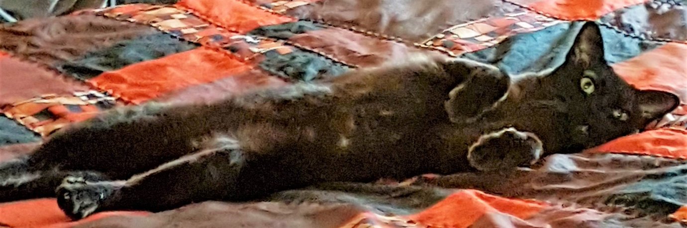 SusanneBBerg's profile banner image