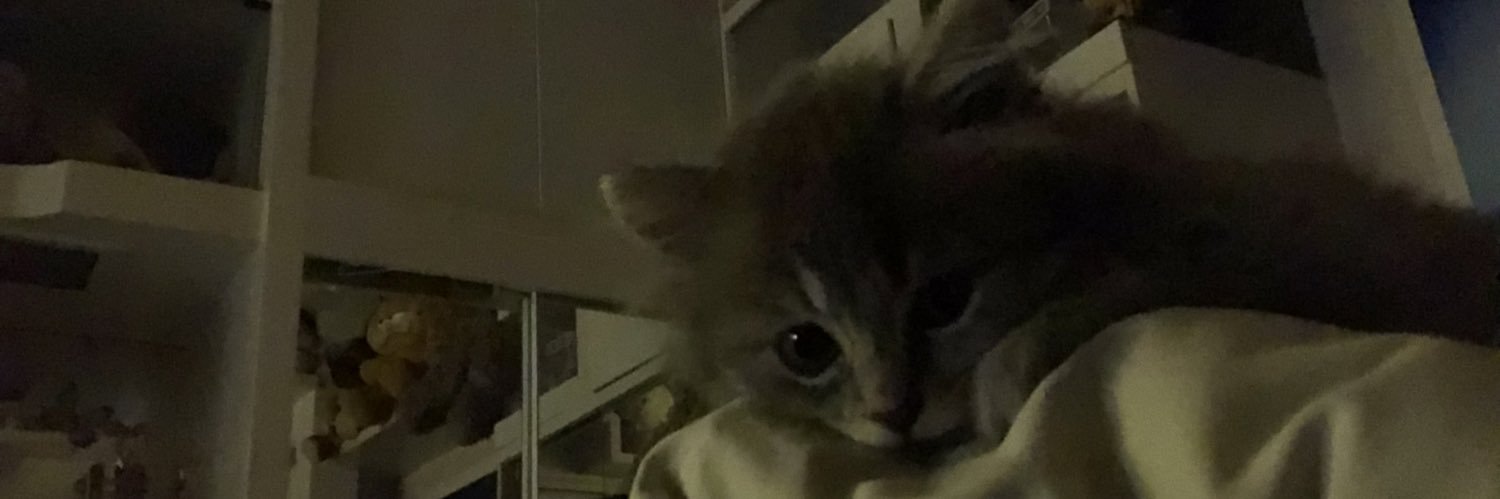 natashadls's profile banner image