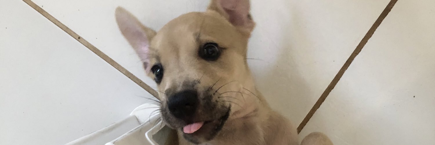 eesrt_'s profile banner image