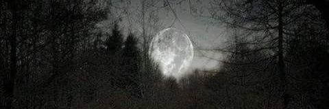 PatriciaMesser's profile banner image
