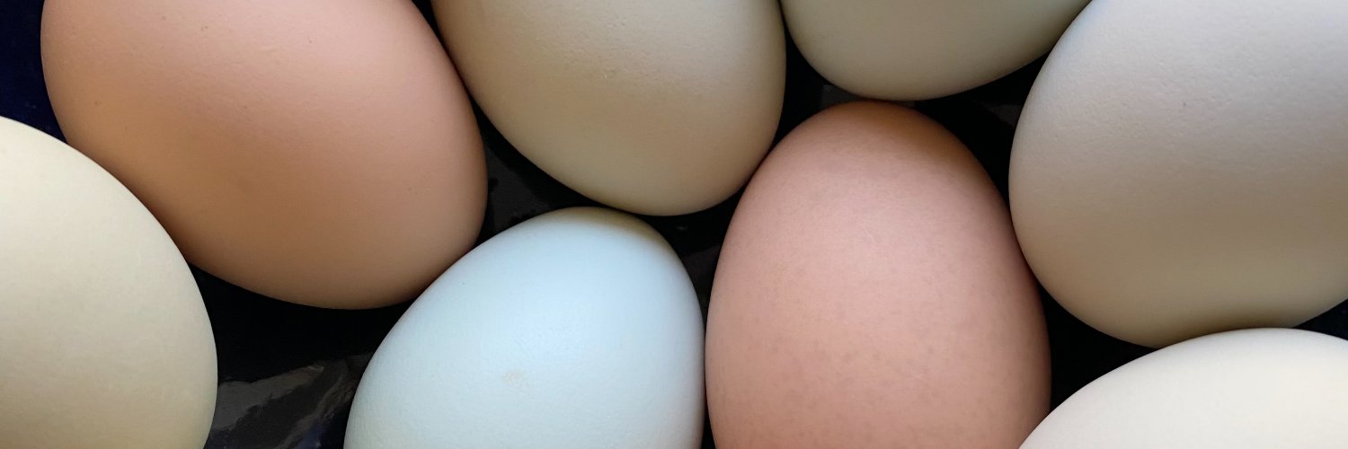 Betsy Levy Paluck banner