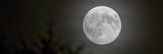 نـاصـر الـنصـافي🇰🇼 banner