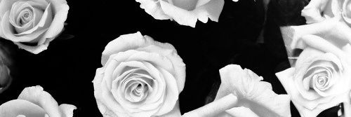 IchD16's profile banner image